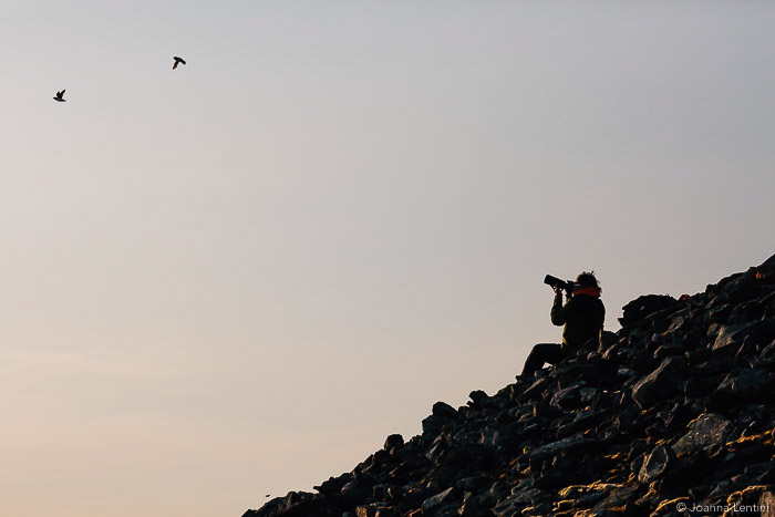 一位野生动物摄影师正在拍摄鸟类照片