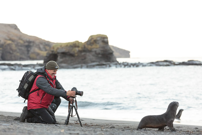 一位野生动物摄影师在沙滩上拍摄海豹的肖像