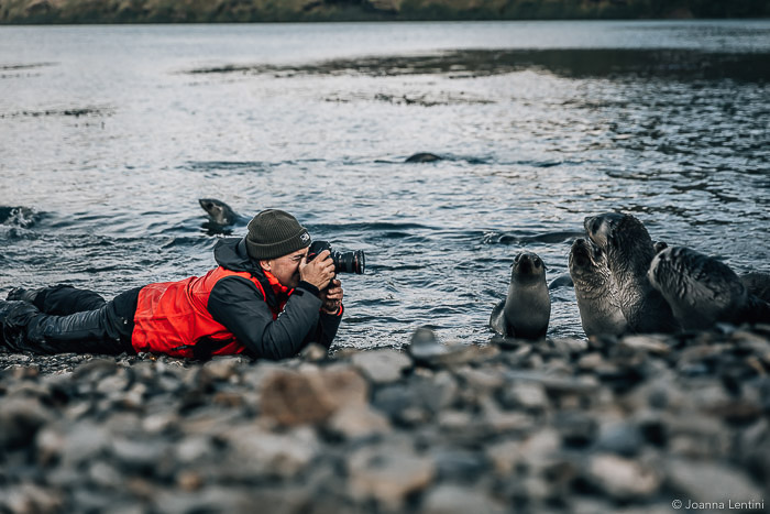 一位野生动物摄影师在沙滩上拍摄海豹的肖像